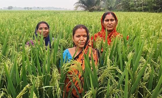 भारत: अनुकूलन की राह पर अग्रसर, ओडिशा की जलवायु नायिकाएँ